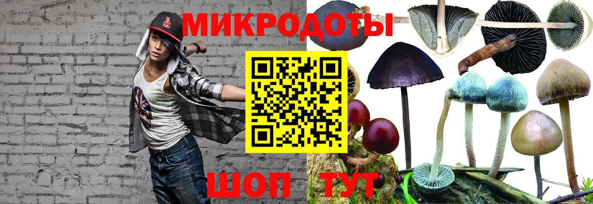 Сунжа  Галлюциногенные грибы GOLDEN TEACHER  Псилоцибиновые грибы GOLDEN TEACHER  Вход с VPN 