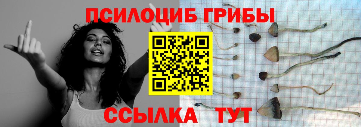 Псилоцибиновые грибы Magic Shrooms Сунжа
